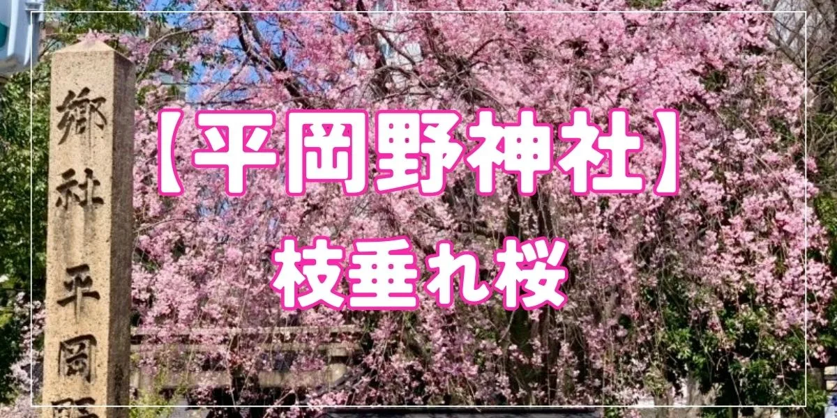 【平岡野神社】金沢駅から1番近い神社｜枝垂れ桜が美しい神社のアクセス・御朱印